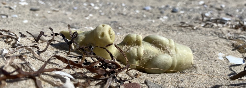 Beach litter