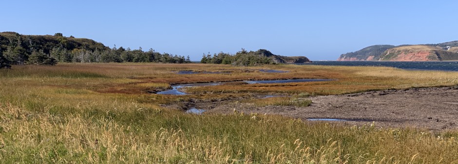 Marais salés des Îles de la Madeleine
