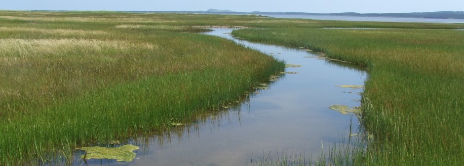 Milieux humides aux Îles de la Madeleine