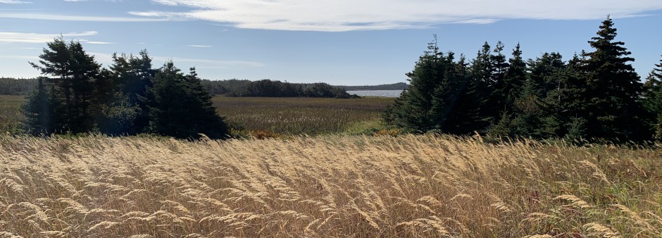 Milieux humides aux Îles de la Madeleine